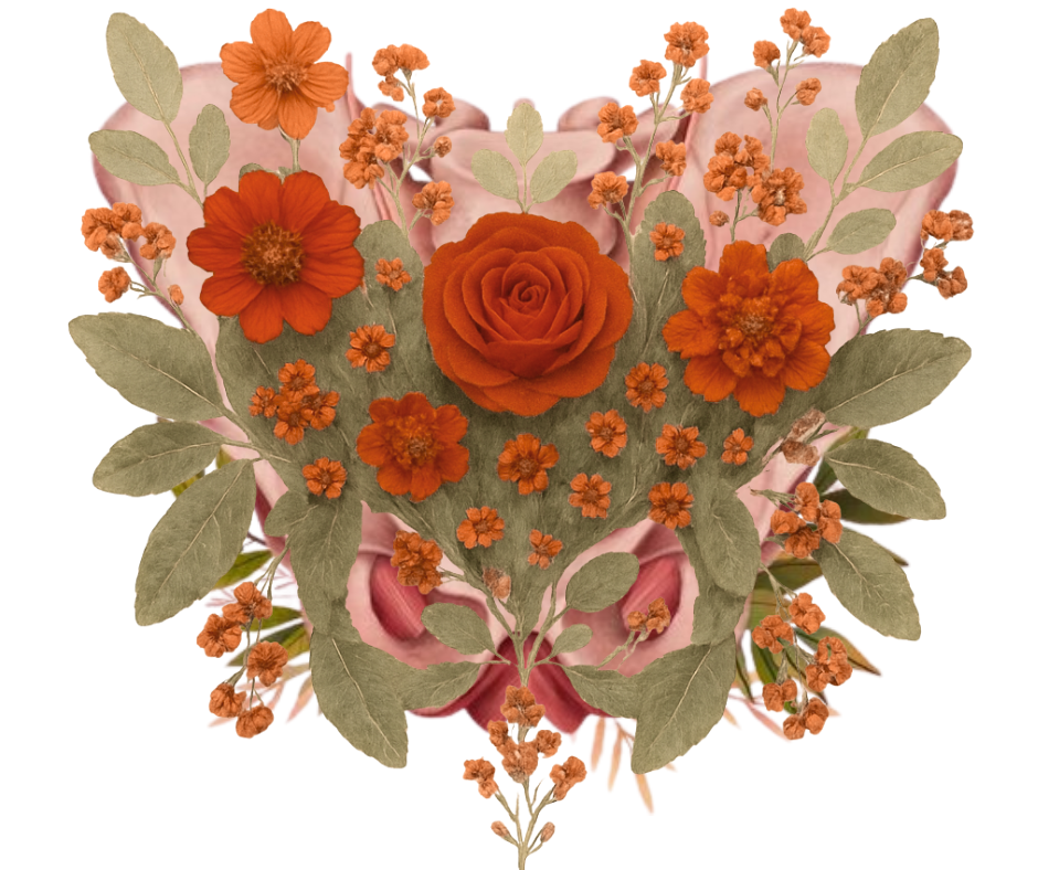 Pánevní dno v souvislostech